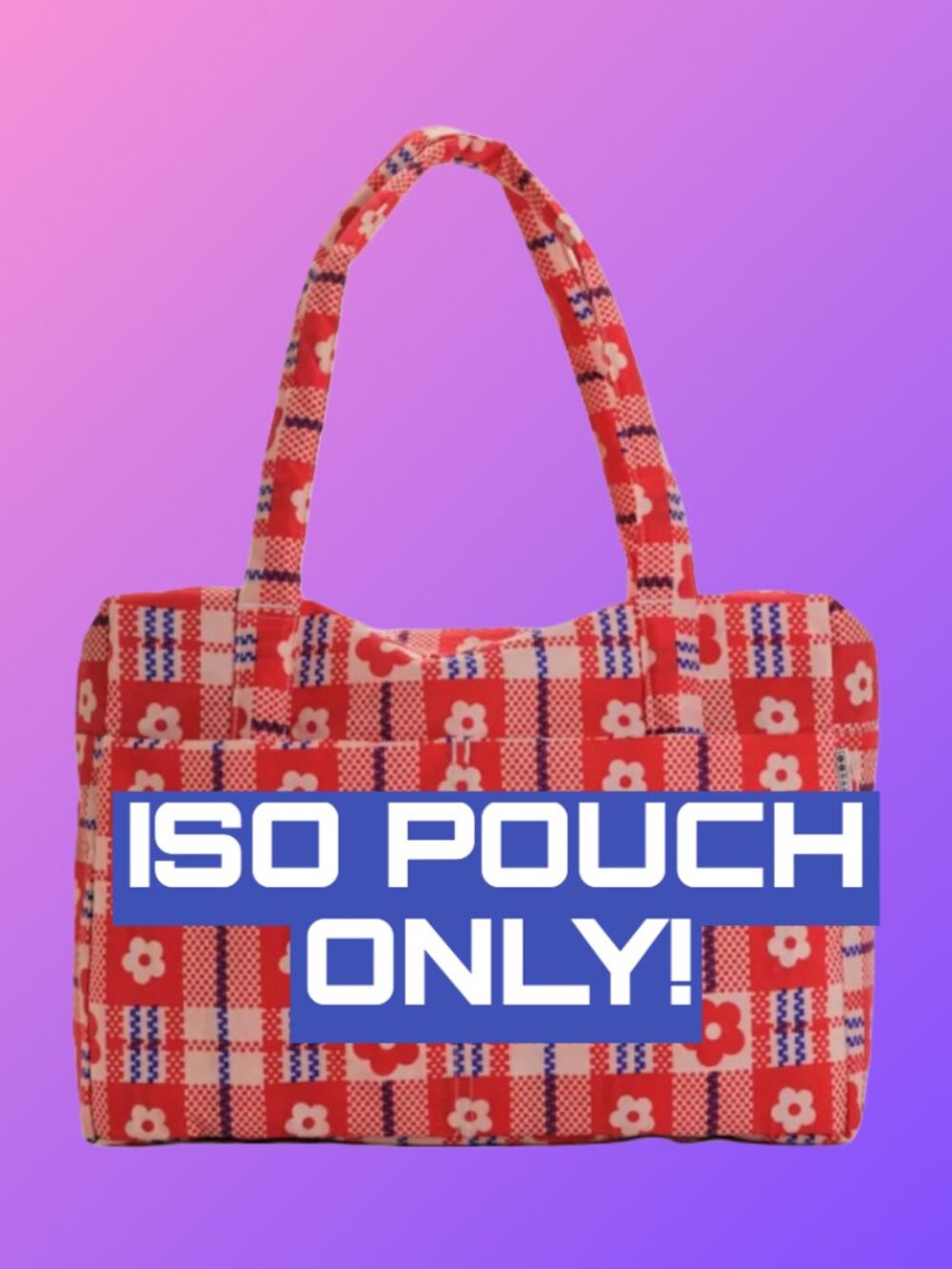 BAGGU ISO